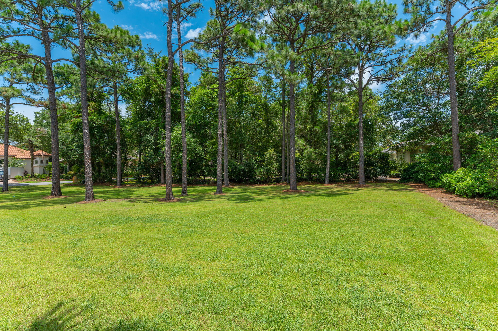 3278 Burnt Pine Circle Miramar Beach, FL 32550 - Photo 9 of 100