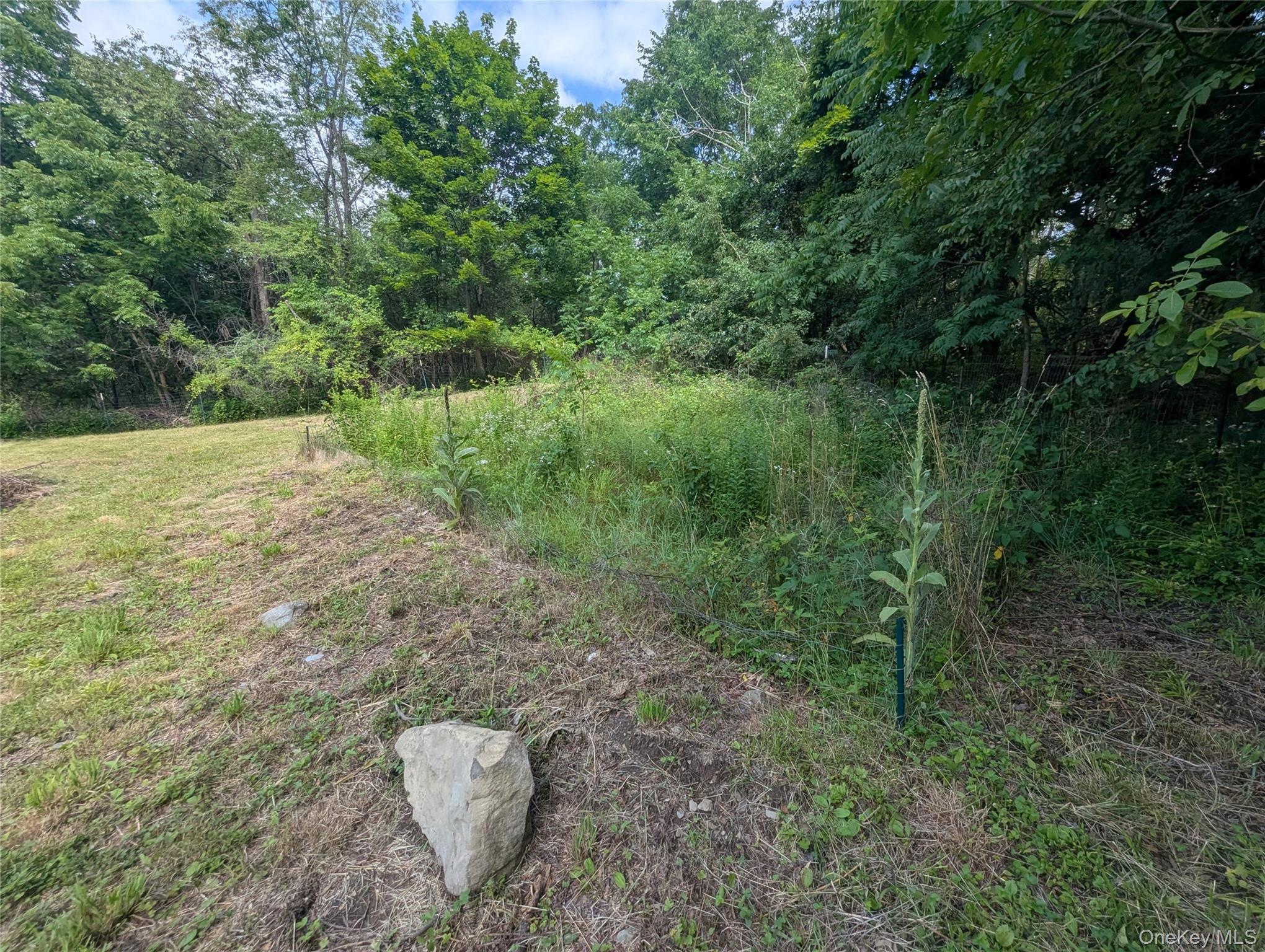 122 Castle High Road Middletown, NY 10940 - Photo 33 of 44 View of yard