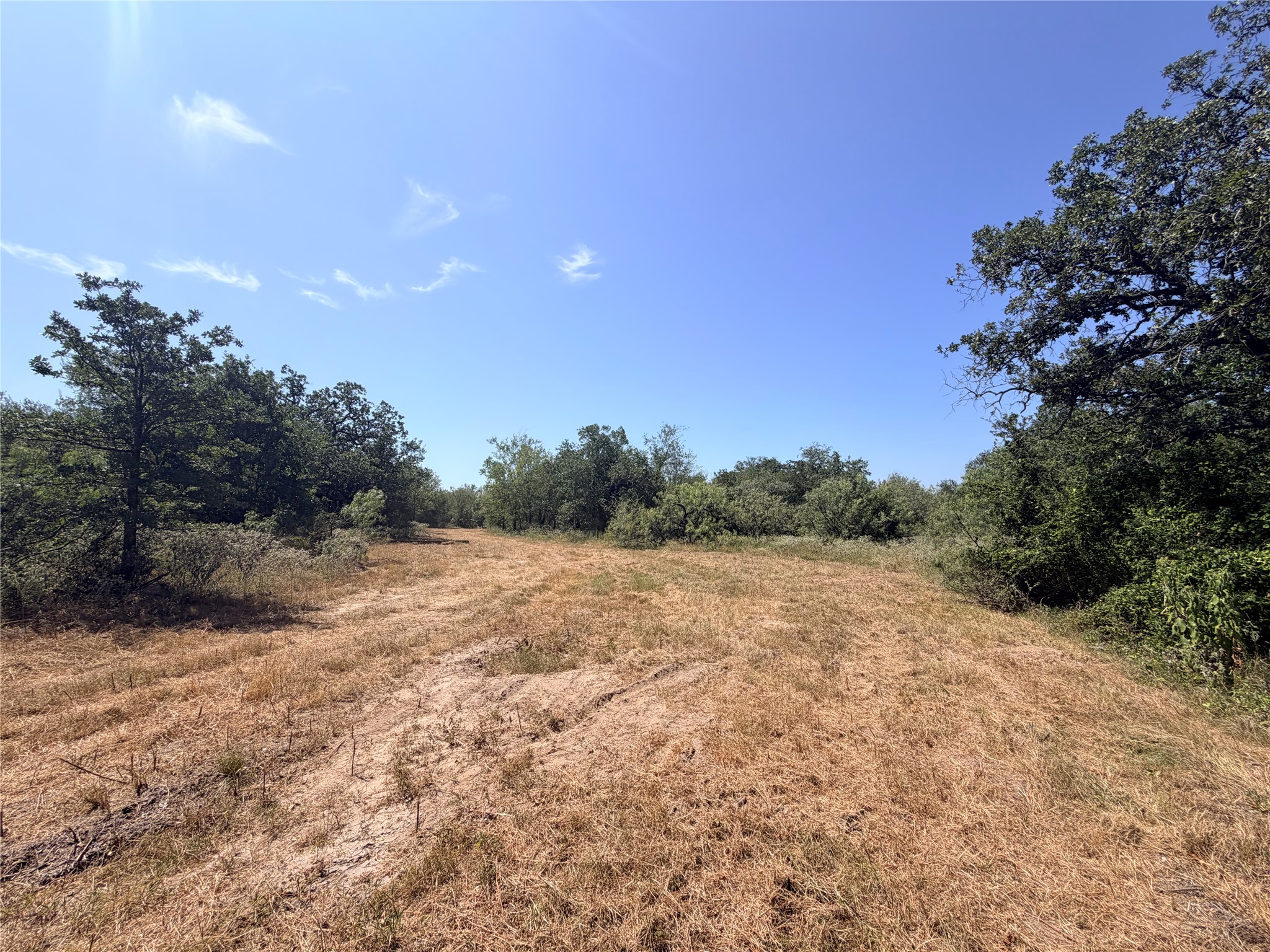 1 Rd Luling Tx 78648 Road Luling, TX 78648 - Photo 10 of 19 Mature trees frame a wide, grassy clearing under a clear blue sky.