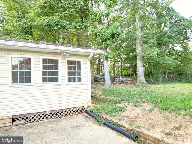 a view of a backyard with a garden and trees