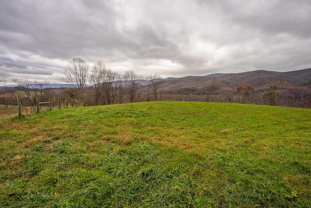 Lot 1 Curve Road Pearisburg, VA 24134 - Photo 18 of 28 DSC06053