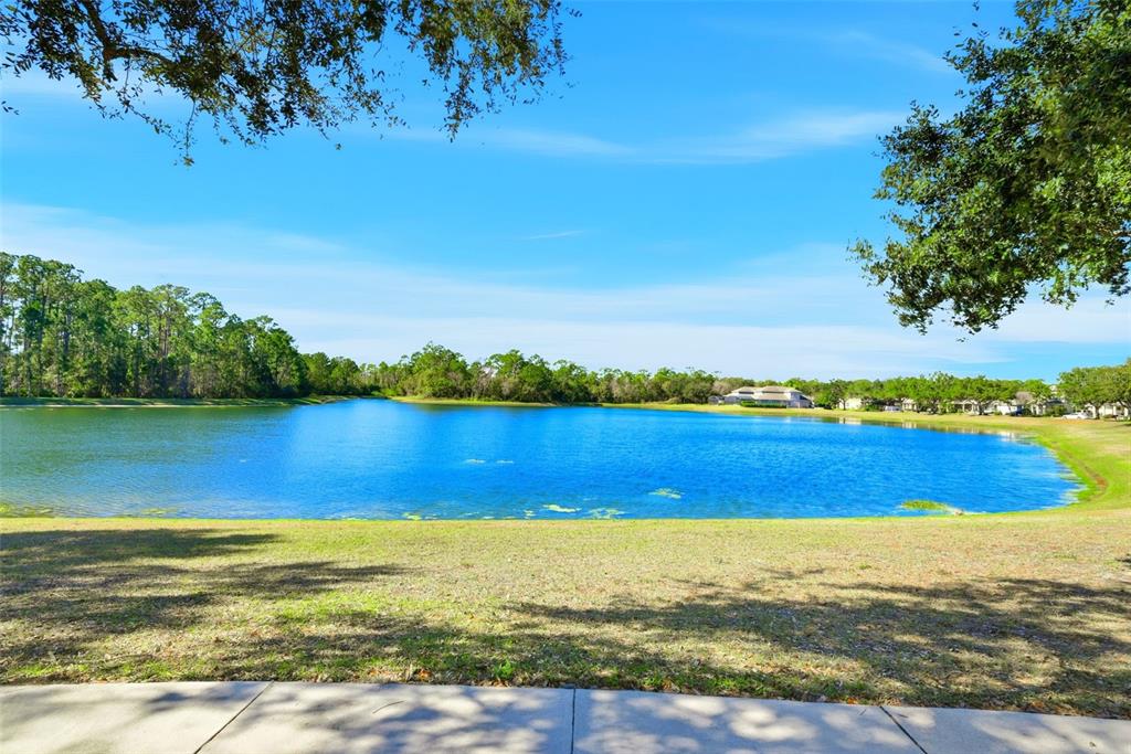 13912 Darchance Road Windermere, FL 34786 - Photo 4 of 49 a view of an ocean and beach