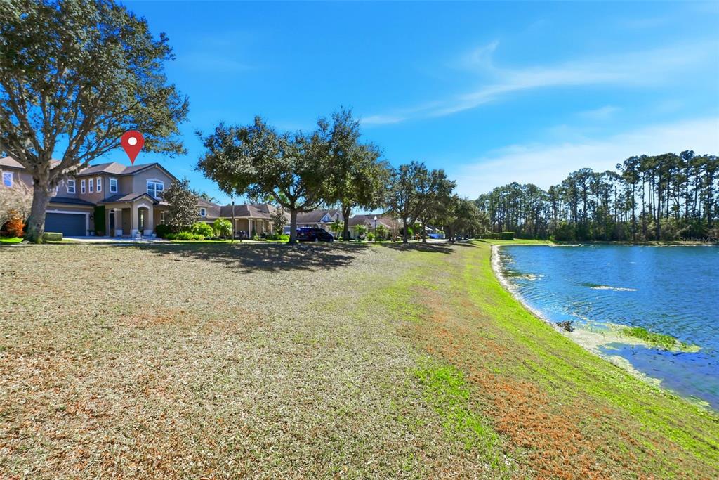 13912 Darchance Road Windermere, FL 34786 - Photo 5 of 49 a view of a yard with a house in the background