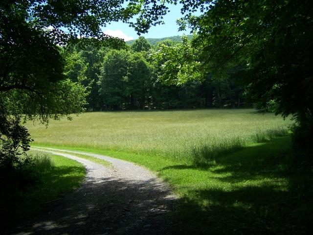Gallery Image 7