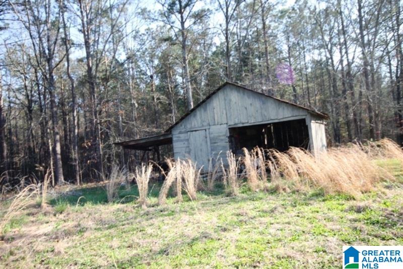3590 Post Oak Road Jacksonville, AL 36265 - Photo 8 of 11