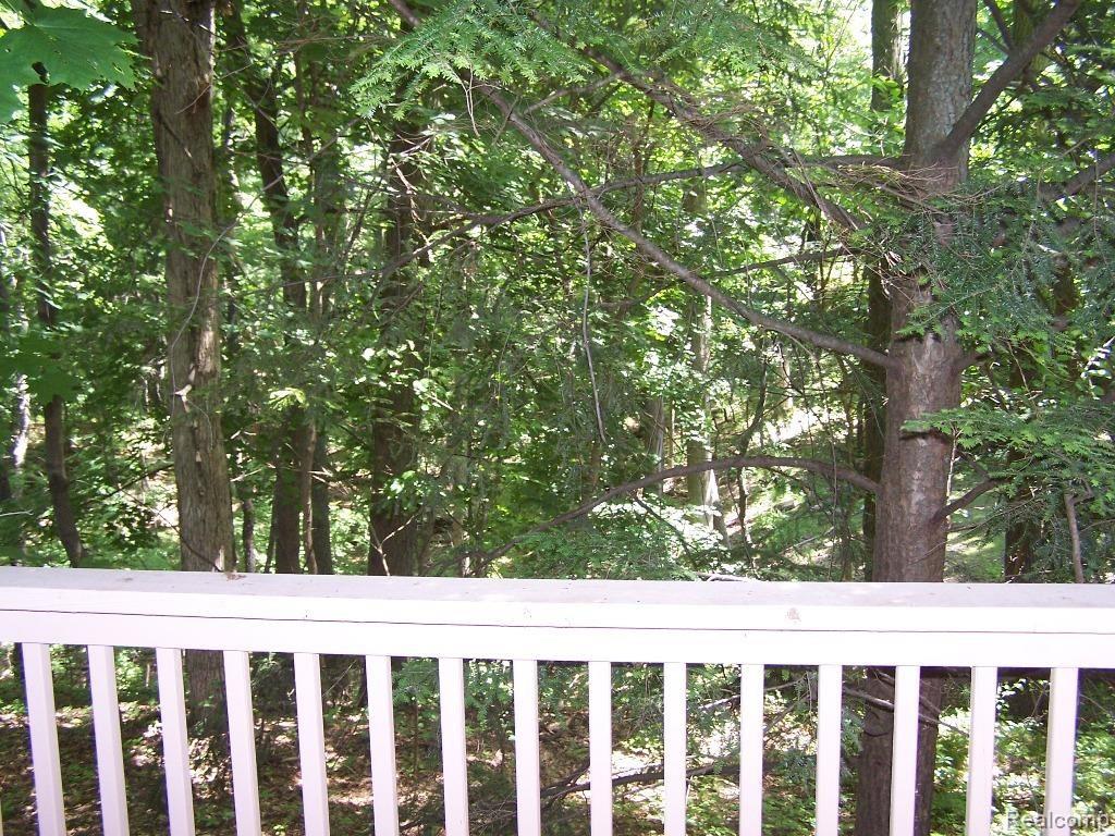 2896 North Tipsico Lake Road Hartland, MI 48353 - Photo 10 of 24 Tipsico Lk 2896 016.jpg