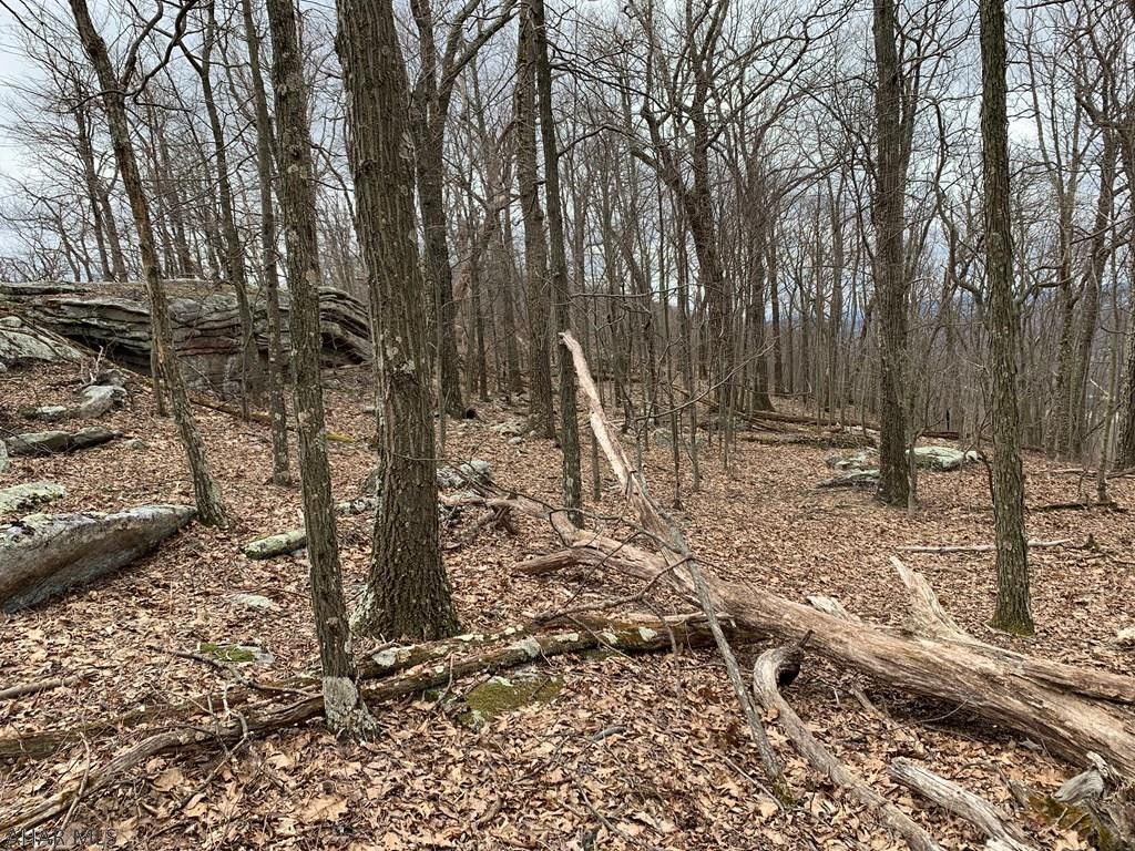 Lot 5 Monroe Mountain Road Clearville, PA 15535 - Photo 11 of 31 Gallery Image 11