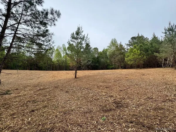 $157,500 | 0 West Sprague Junction Road, Ramer, AL 36069