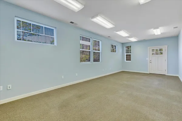 a view of a park with large trees