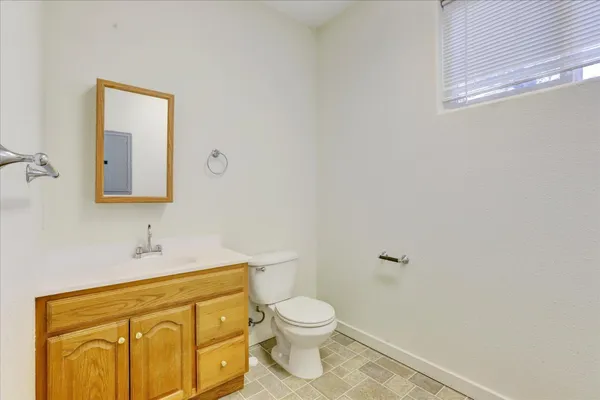 a view of a garden with a slide