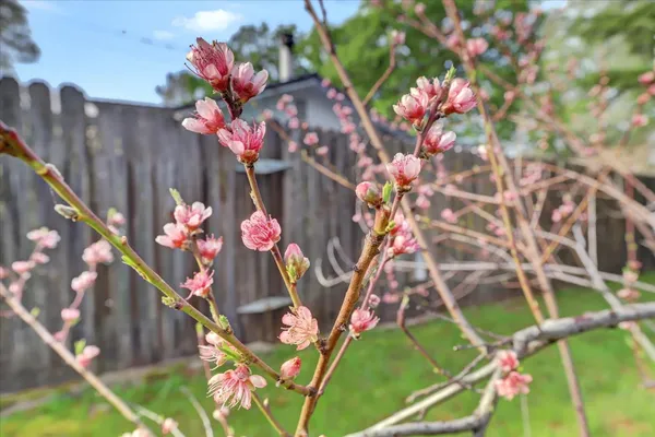 $625,000 | 12383 Rough And Ready Highway, Grass Valley, CA 95945