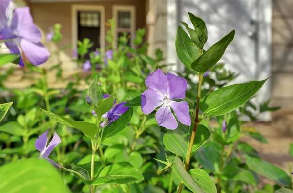 $625,000 | 12383 Rough And Ready Highway, Grass Valley, CA 95945