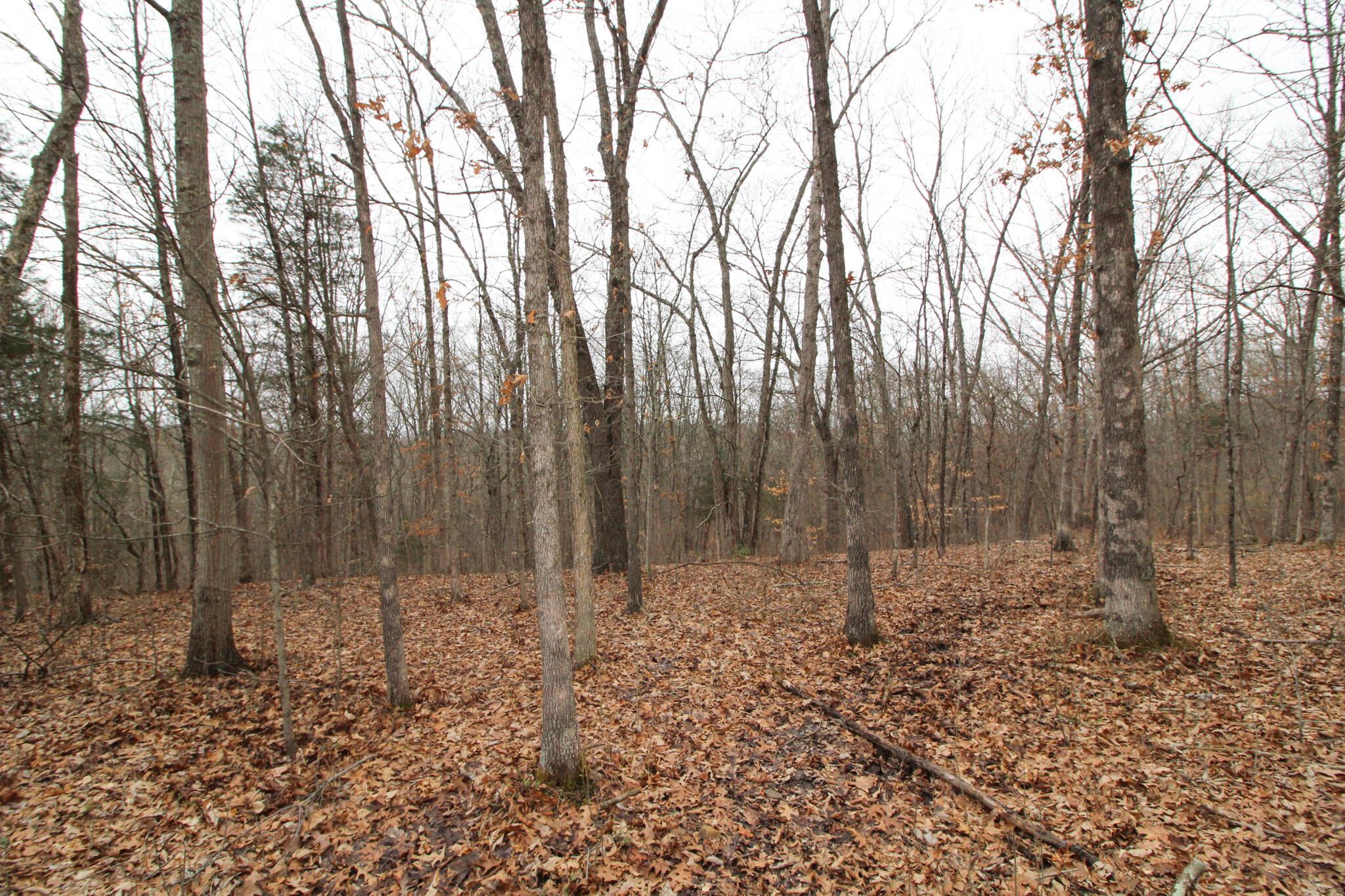 14630 Robinson Road Amesville, OH 45711 - Photo 25 of 39 IMG_4000