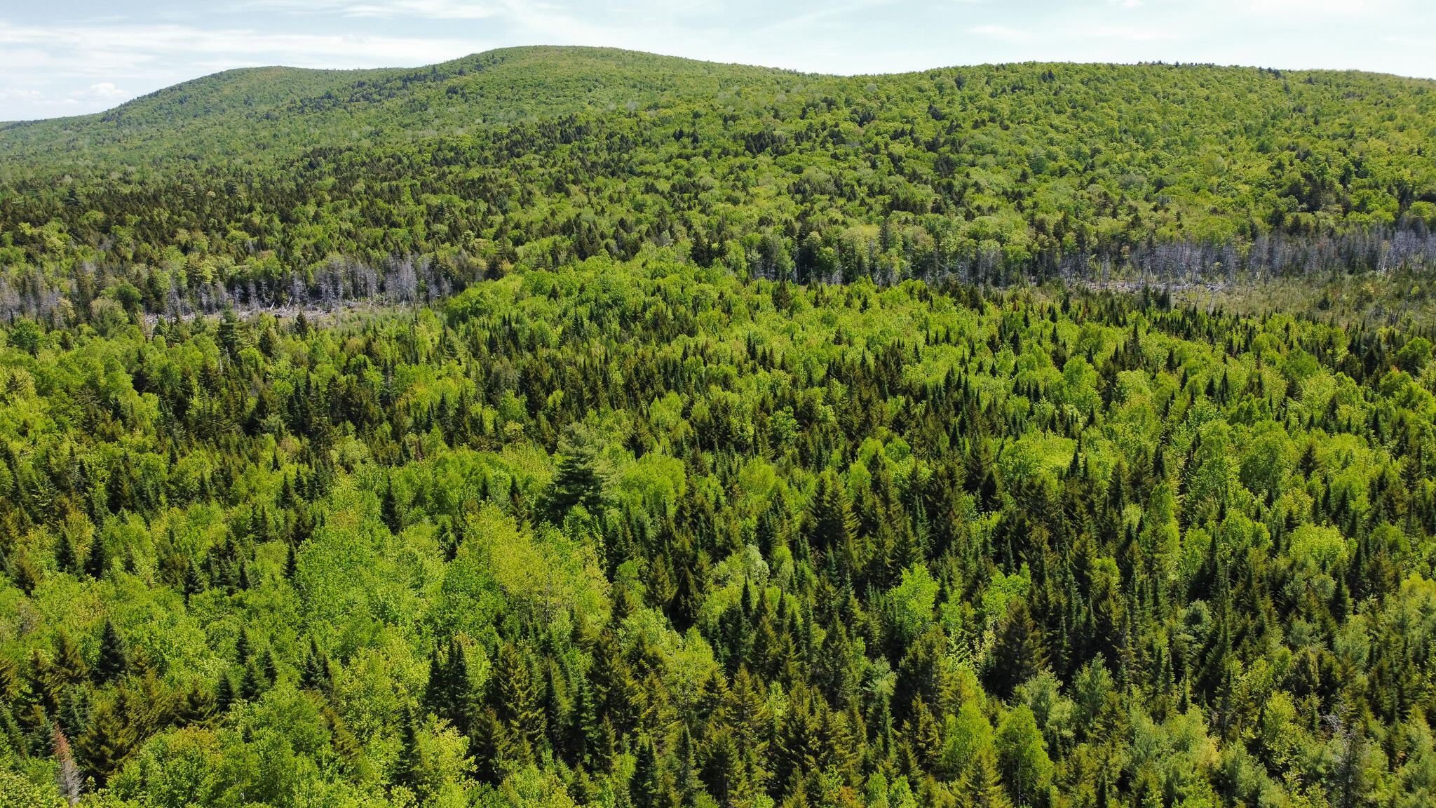 Lot 10 Morrison Brook, Unit ACRES Oakfield, ME 04763 - Photo 2 of 11