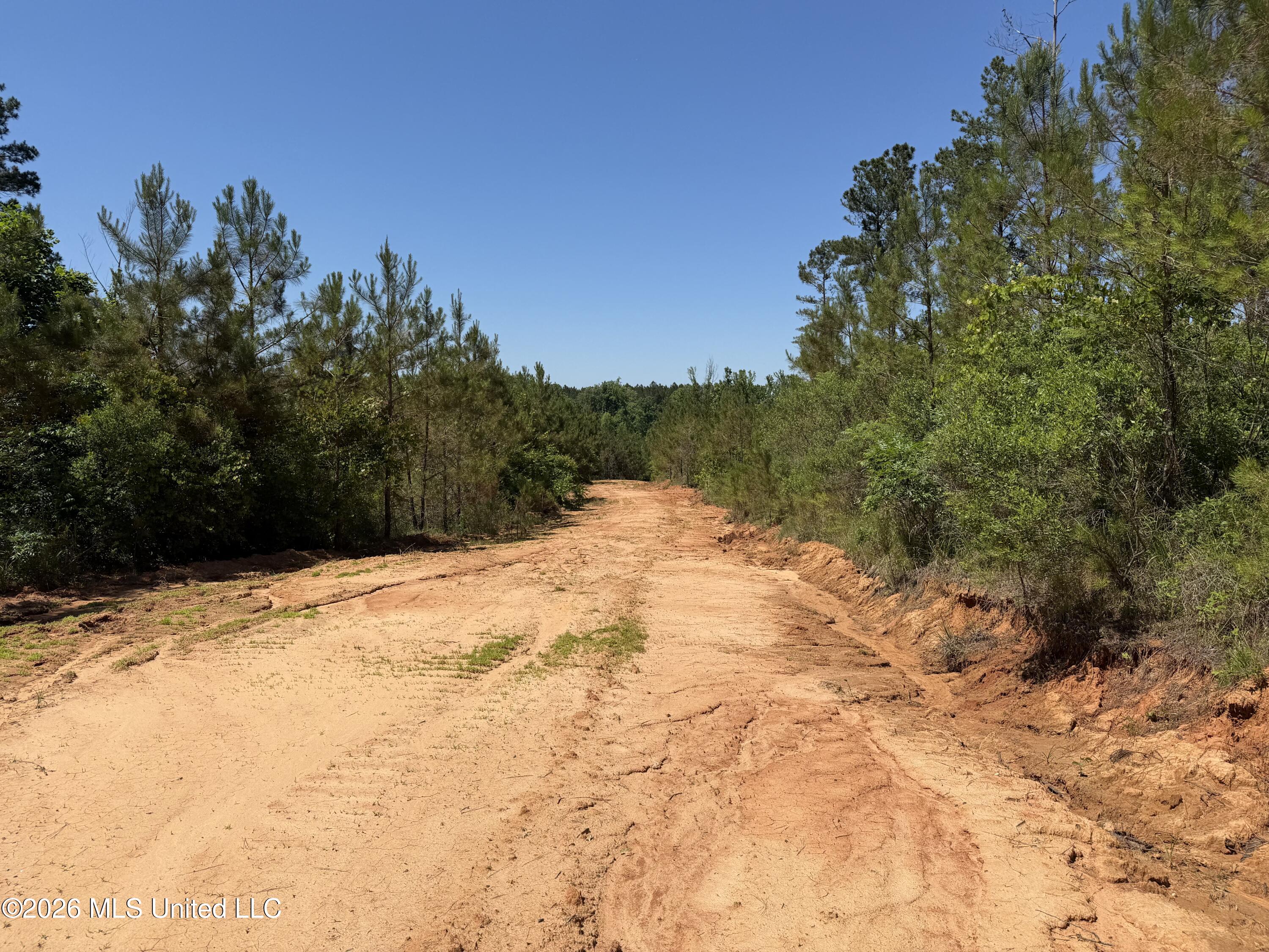 Couparle Road Camden, MS 39045 - Photo 30 of 47 Photo May 12 2026, 2 36 58 PM