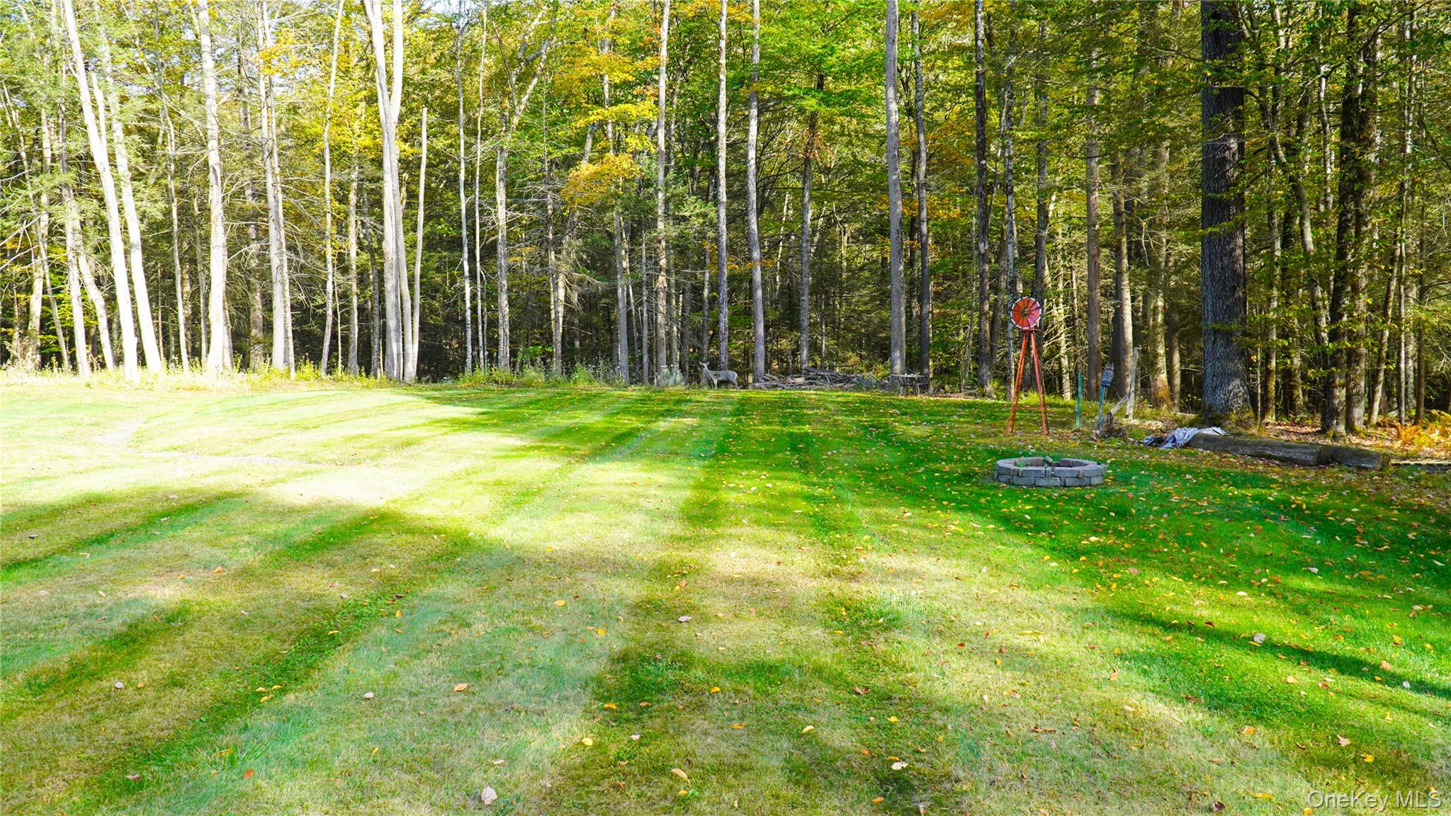 186 Schumway Road Neversink, NY 12765 - Photo 14 of 17 a view of a park with large trees