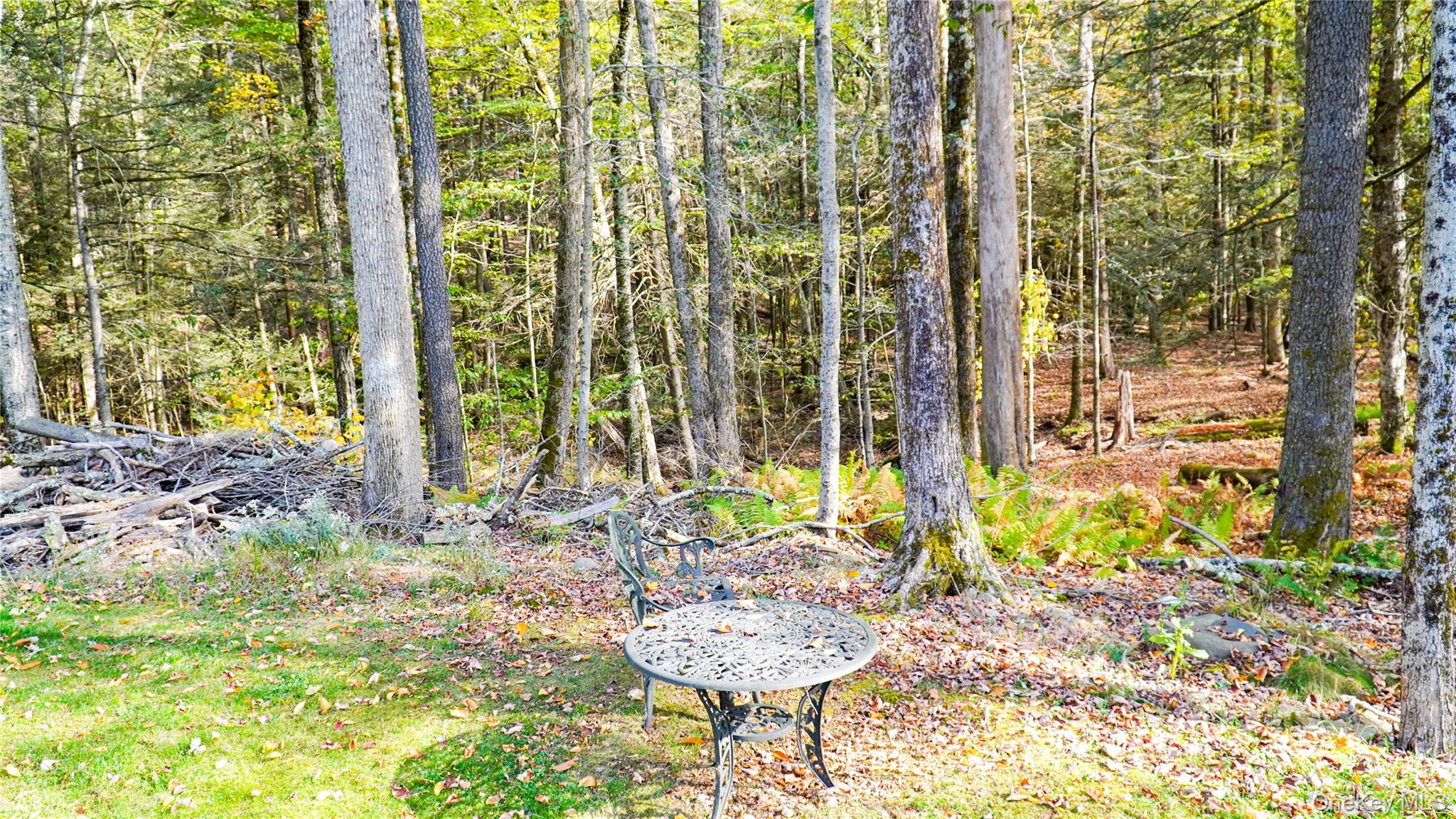 186 Schumway Road Neversink, NY 12765 - Photo 15 of 17 a view of a porch with chairs and table