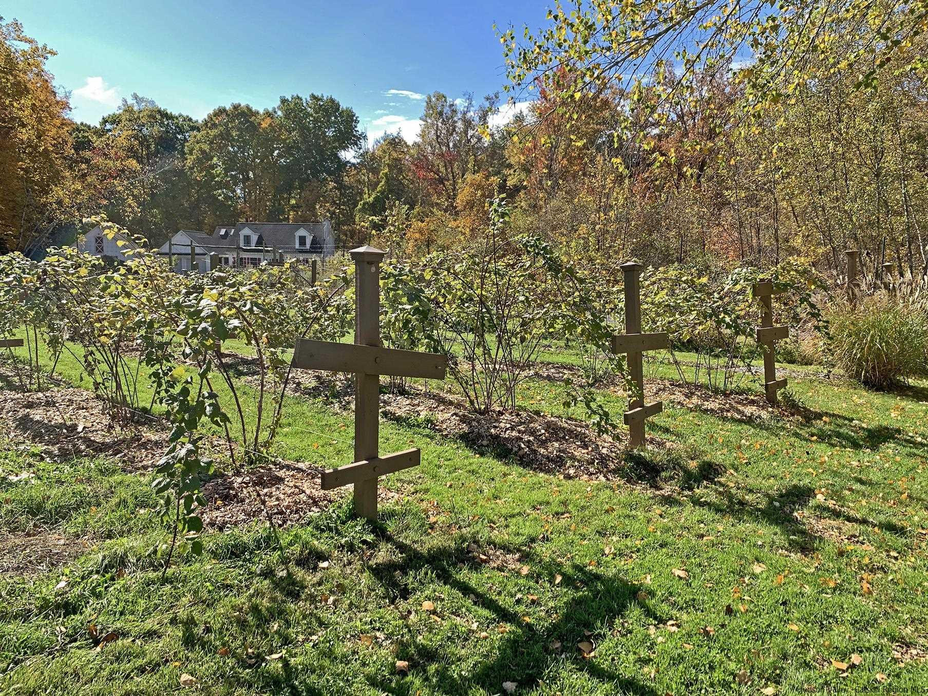 42 Union Center Road Ulster Park, NY 12487 - Photo 32 of 35 a view of outdoor space and trees