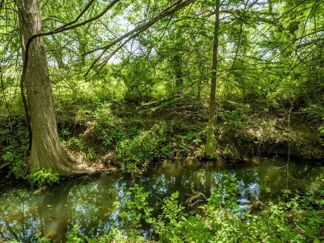 $6,500 | 800 Spur 191, Spicewood, TX 78669