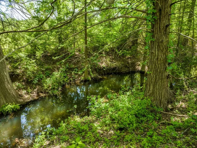 $6,500 | 800 Spur 191, Spicewood, TX 78669