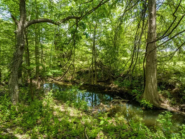 $6,500 | 800 Spur 191, Spicewood, TX 78669