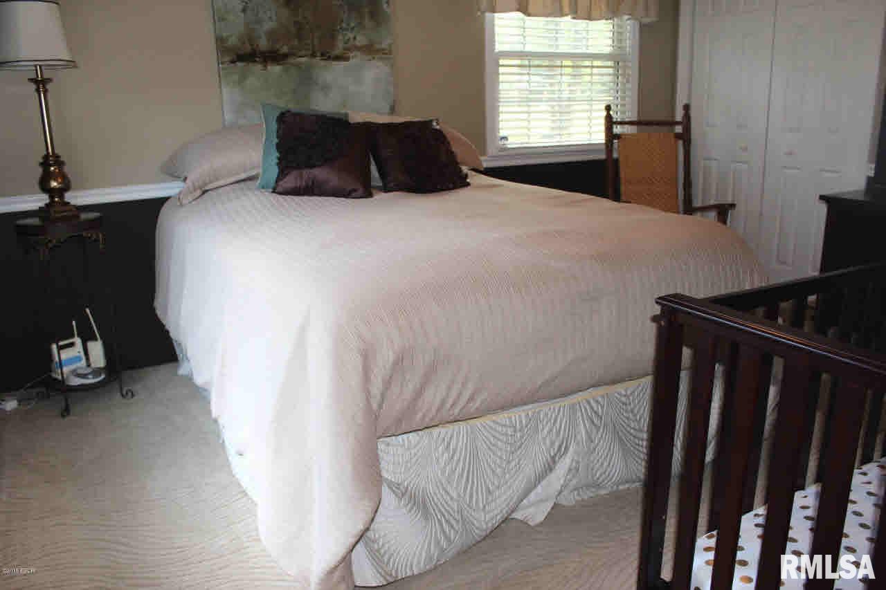 995 Caprice Road West Frankfort, IL 62896 - Photo 10 of 30 Gallery Image 10