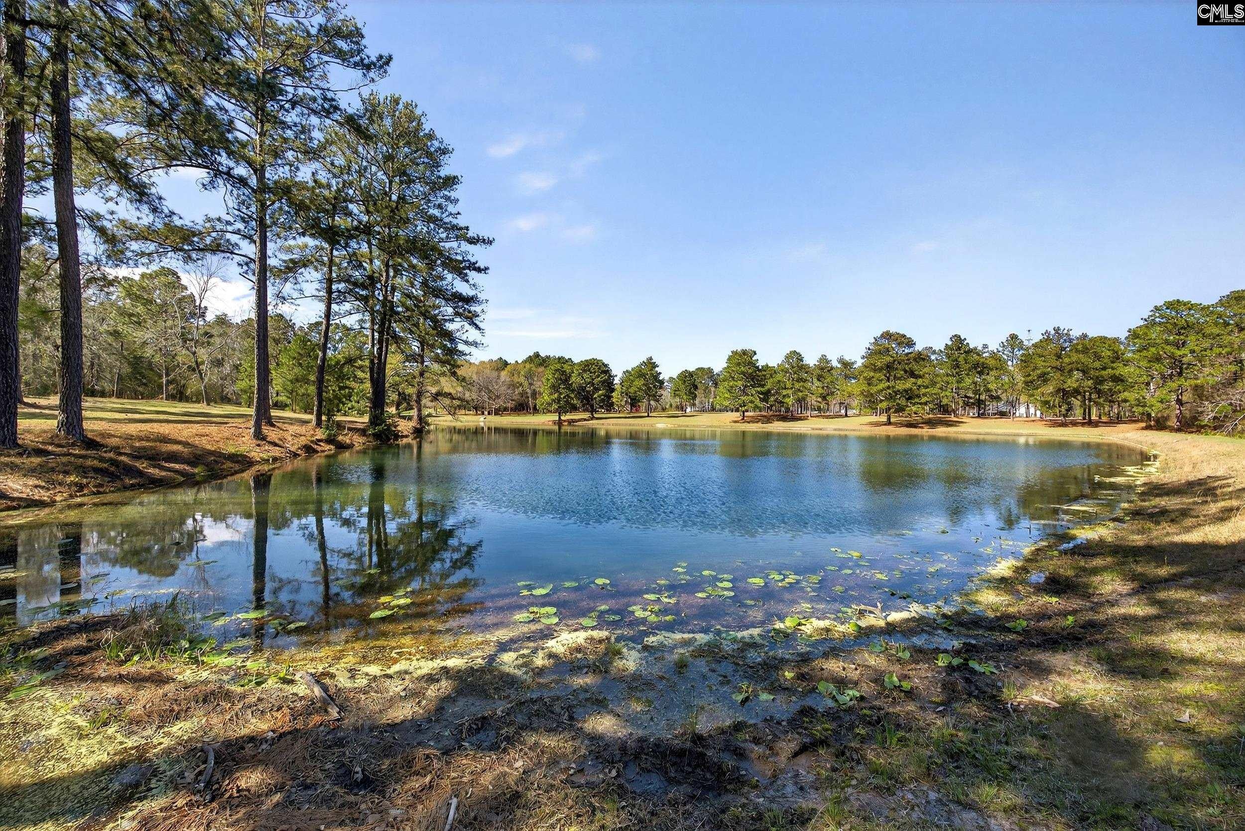 150 Satcher Road Lexington, SC 29072 - Photo 22 of 37