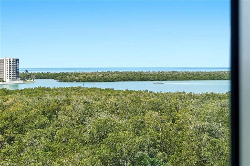 265 Indies Way, Unit 701 Naples, FL 34110 - Photo 21 of 50 a view of a lake with houses in the back
