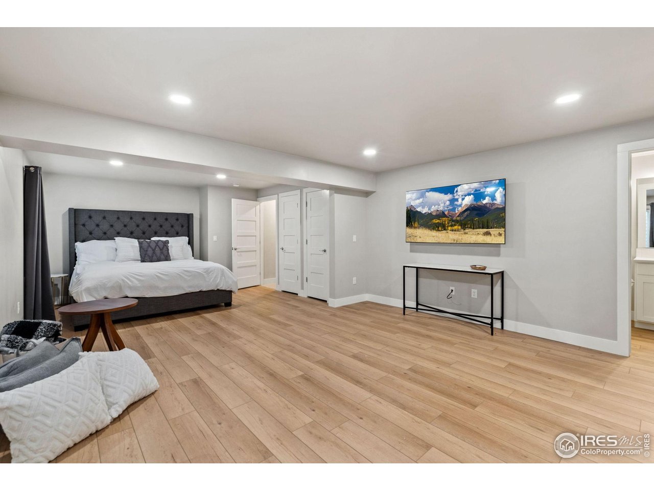 403 Osiander Street Fort Collins, CO 80524 - Photo 15 of 25 Lower Level Suite (Bedroom 4)