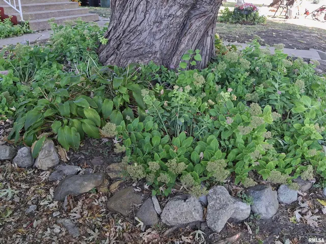 $90,000 | 283 West Walnut Street, Canton, IL 61520