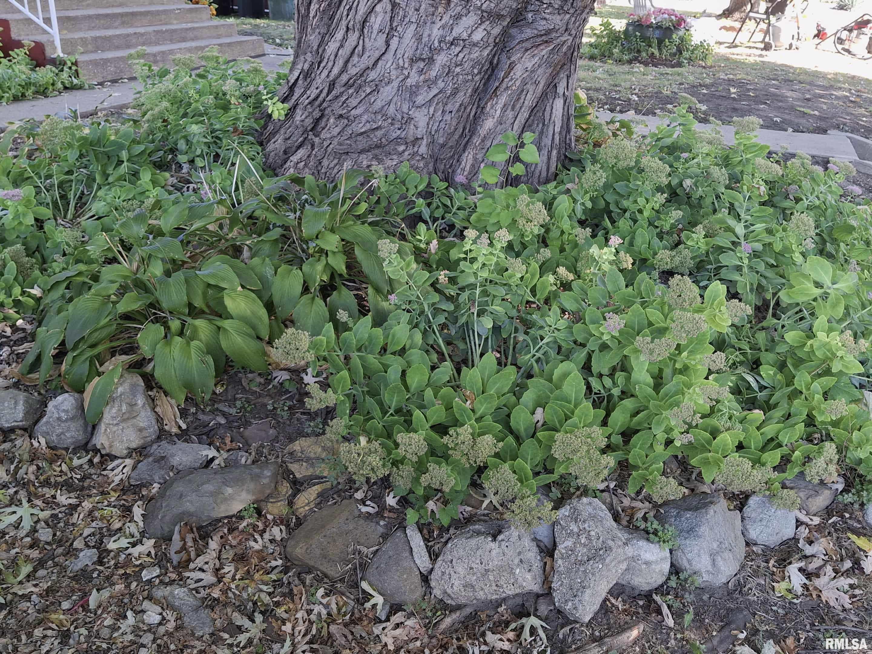 283 West Walnut Street Canton, IL 61520 - Photo 2 of 55