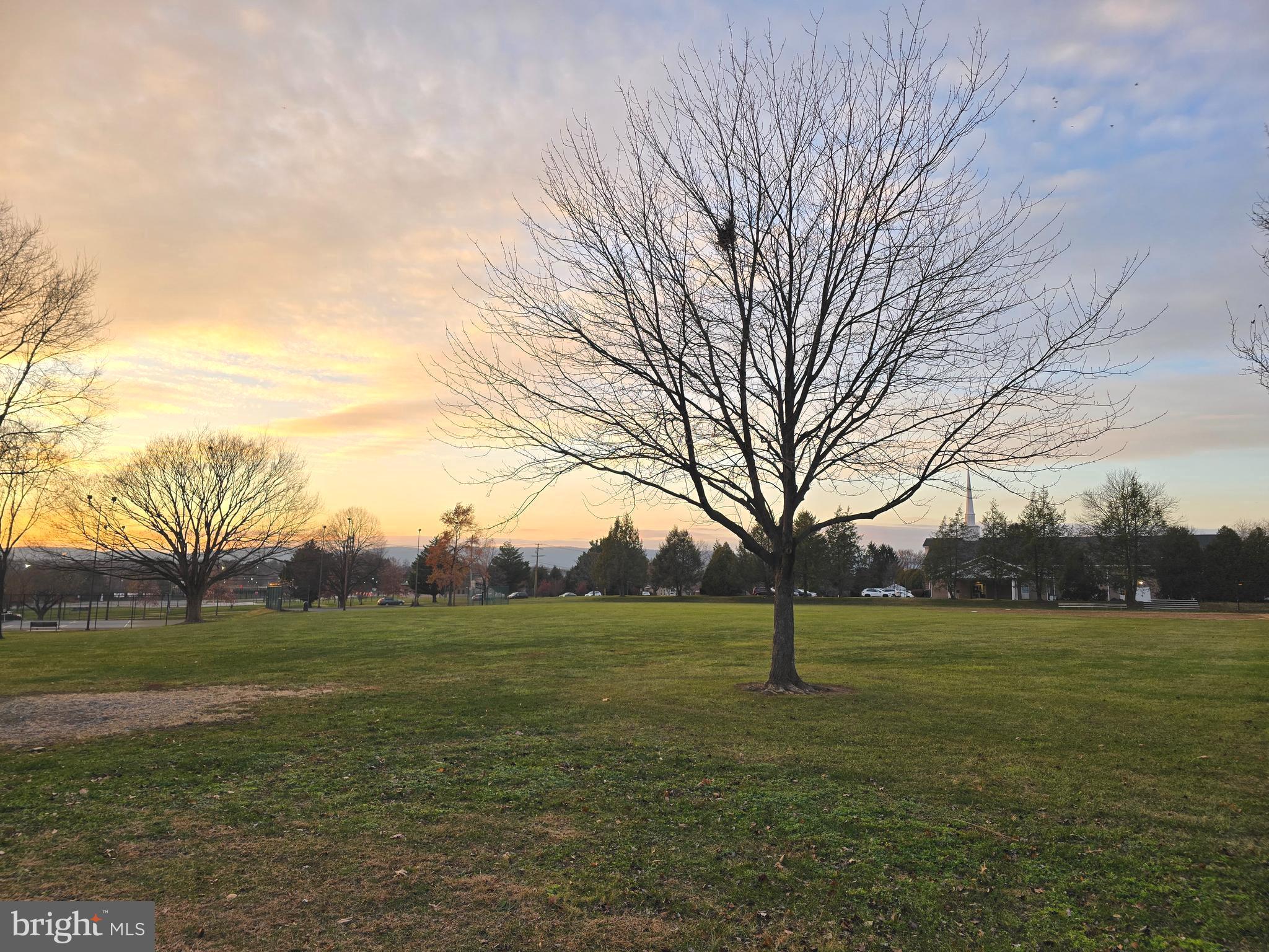 1776 Springfield Lane Frederick, MD 21702 - Photo 52 of 56 a backyard of a house with lots of green space