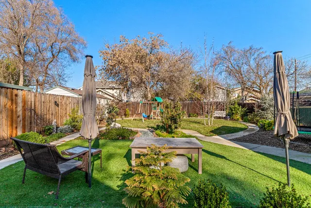 a view of a park with large trees