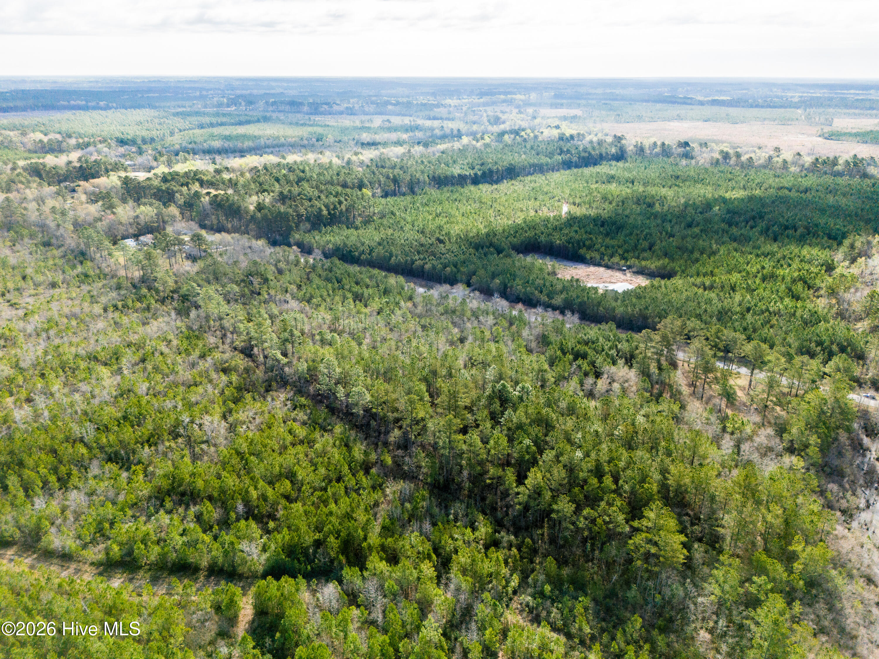 258 Hardy Graham Road Maple Hill, NC 28454 - Photo 3 of 14 DJI_20260326093315_0234_D
