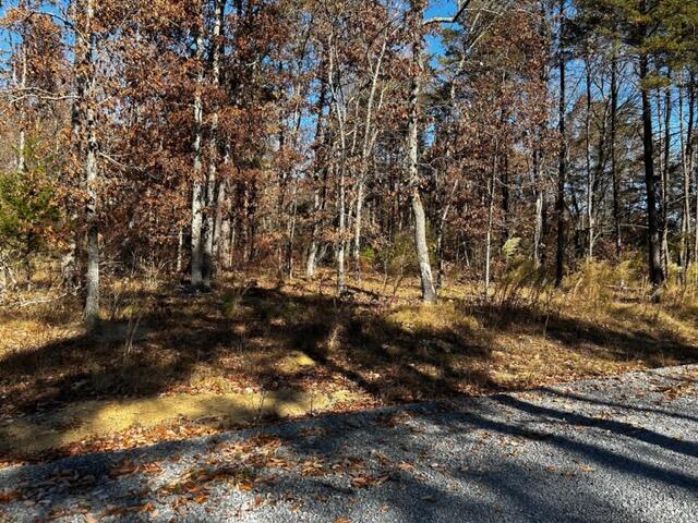 0 Jones Gap Road Soddy Daisy, TN 37379 - Photo 2 of 5 IMG_3379