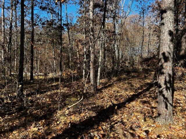 0 Jones Gap Road Soddy Daisy, TN 37379 - Photo 3 of 5 IMG_3380