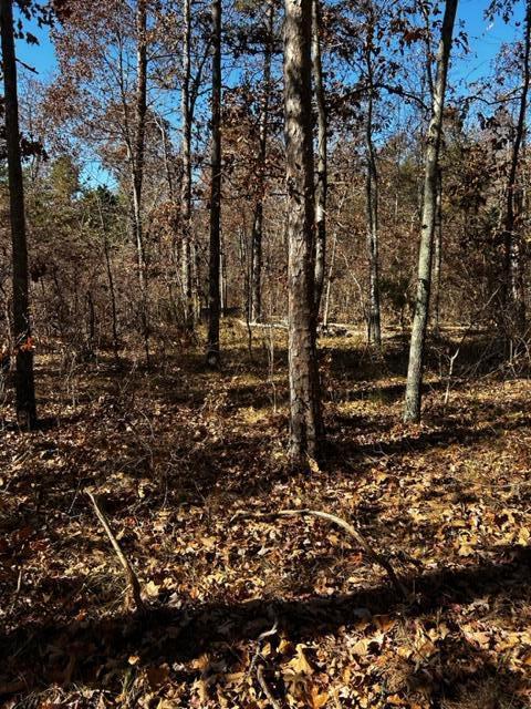 0 Jones Gap Road Soddy Daisy, TN 37379 - Photo 4 of 5 IMG_3383