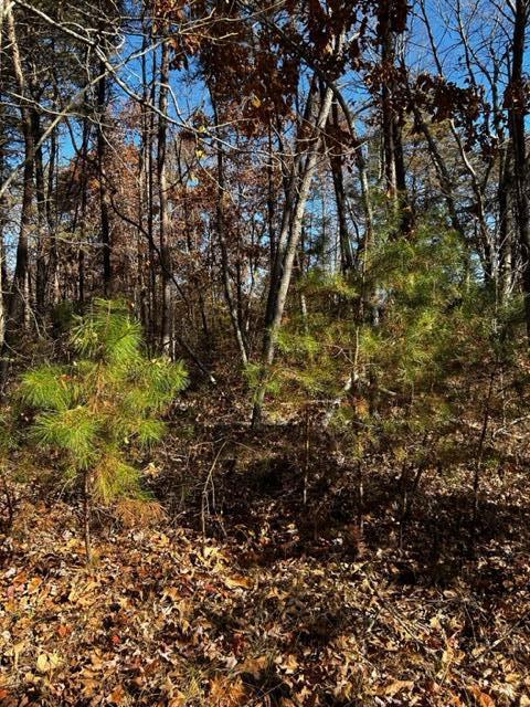 0 Jones Gap Road Soddy Daisy, TN 37379 - Photo 5 of 5 IMG_3382