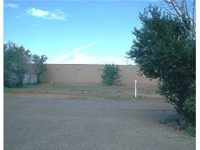 3044 North Tani Road Prescott Valley, AZ 86314 - Photo 1 of 1 a view of a yard with plants and trees