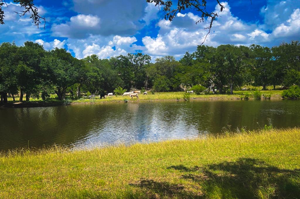 1364 North Walnut Springs Road, Unit 19 Johnson City, TX 78636 - Photo 8 of 51