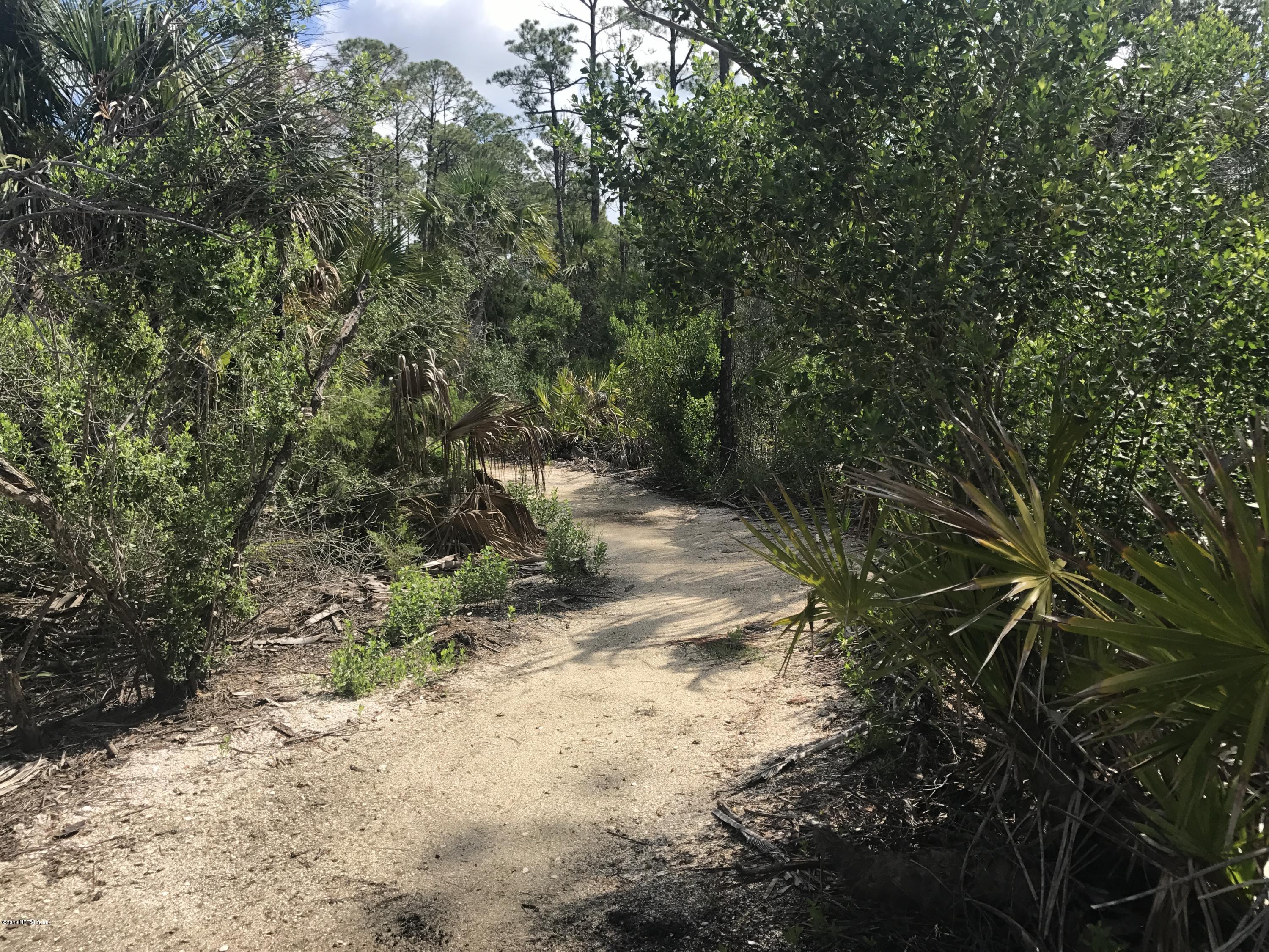 2067 Alley Road Jacksonville, FL 32233 - Photo 22 of 33 Dutton Park Preserve