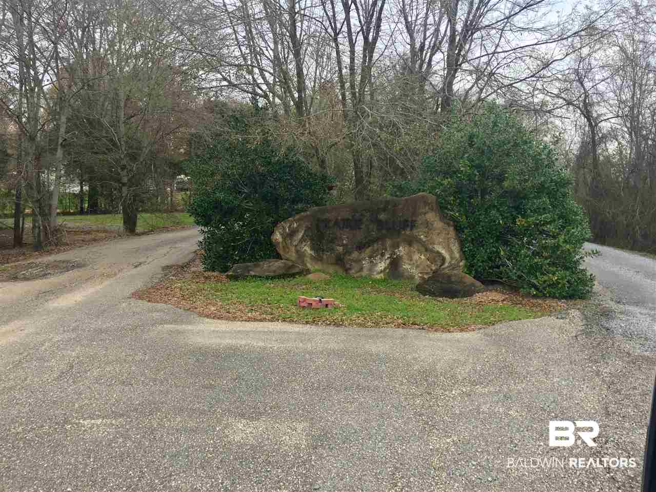 393 Dana Drive Catherine, AL 36728 - Photo 6 of 44
