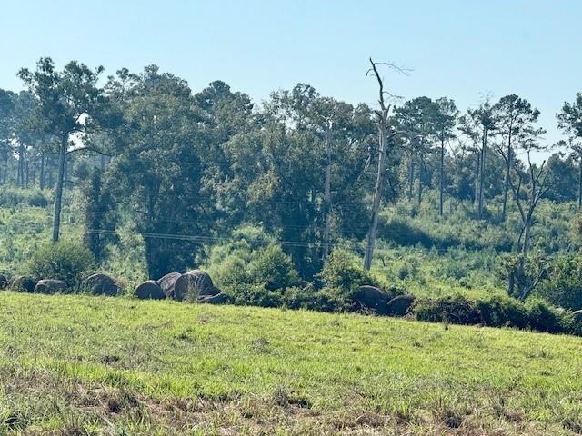 Tbd Bennie Morris Road Mount Hermon, LA 70450 - Photo 11 of 17