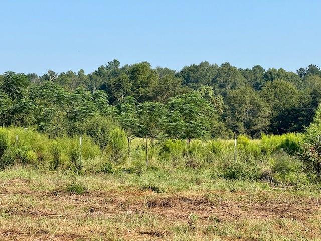 Tbd Bennie Morris Road Mount Hermon, LA 70450 - Photo 12 of 17