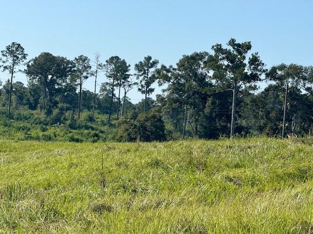 Tbd Bennie Morris Road Mount Hermon, LA 70450 - Photo 14 of 17