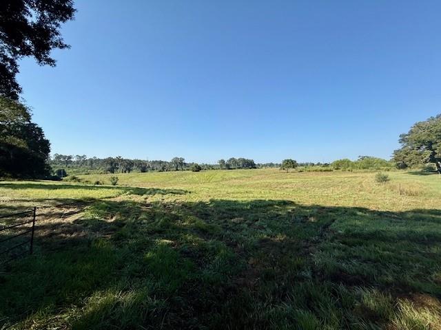 Tbd Bennie Morris Road Mount Hermon, LA 70450 - Photo 4 of 17