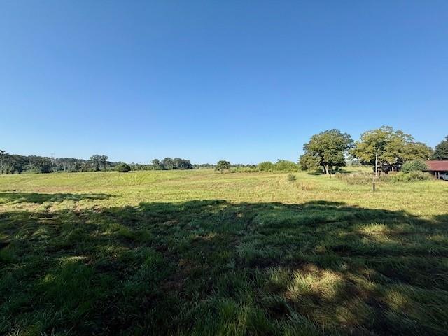 Tbd Bennie Morris Road Mount Hermon, LA 70450 - Photo 5 of 17