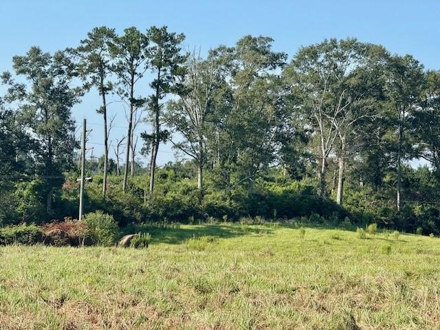 Tbd Bennie Morris Road Mount Hermon, LA 70450 - Photo 7 of 17