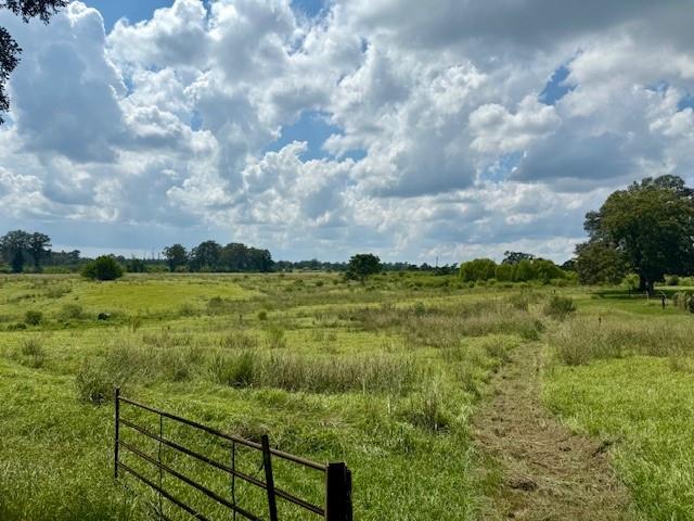 Tbd Bennie Morris Road Mount Hermon, LA 70450 - Photo 8 of 17