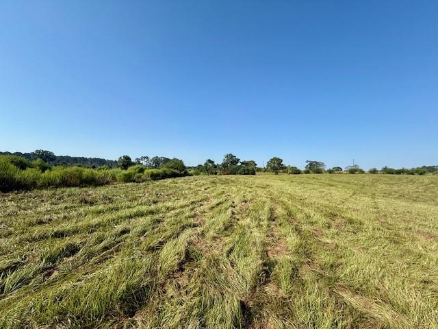 Tbd Bennie Morris Road Mount Hermon, LA 70450 - Photo 9 of 17